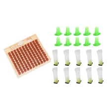 Пчела вывод маток комплект пчела маточная Клеточка стакан для телефона коробка набор защита от пчел чистая крышка приспособление для пчеловодства apculture поставки 1 комплект