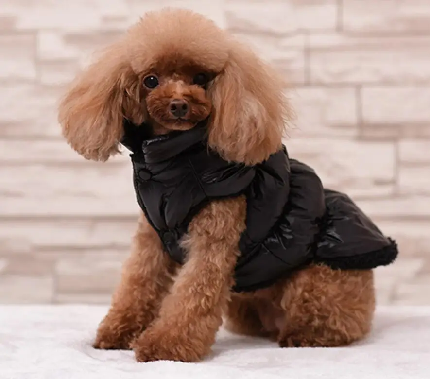Xs 3xl Besar Kecil Anjing Pakaian Pet Down Mantel Hewan Peliharaan