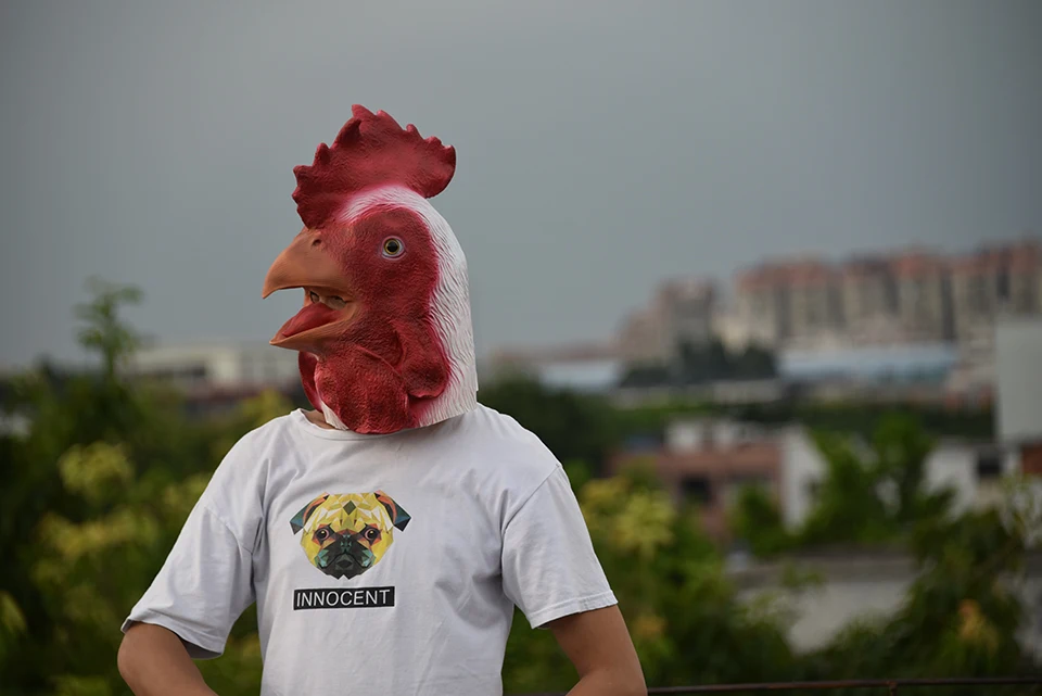 DSC_0908