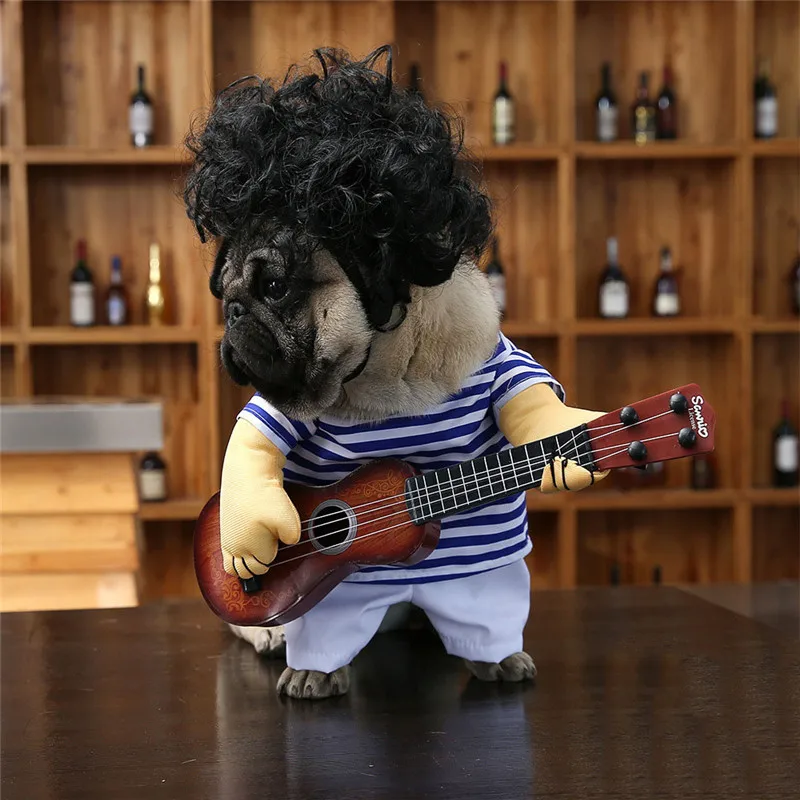 dog coat for pug  (4)