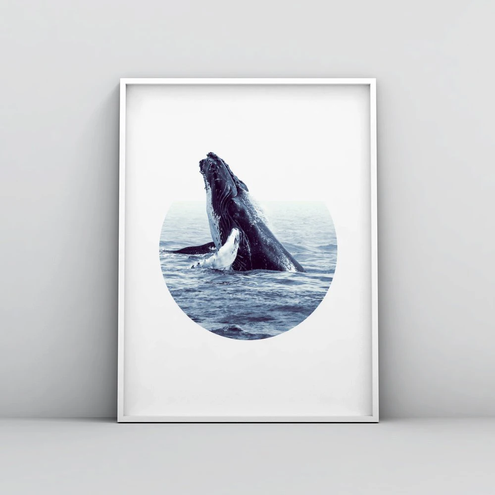 кит постер в хорошем качестве. кит пинтерест. плакат киты. постер киты. плакат киты.