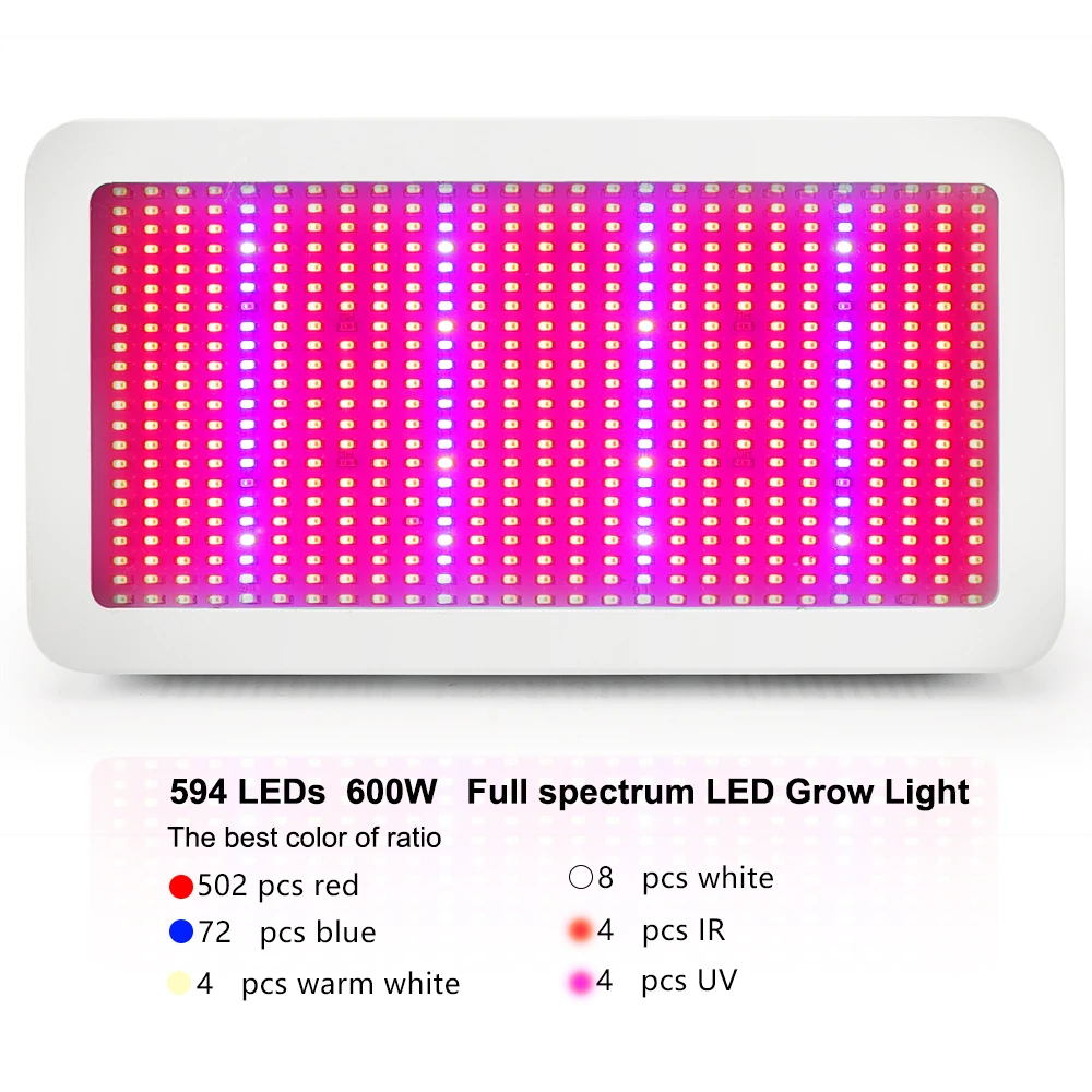 600W DENGZHU