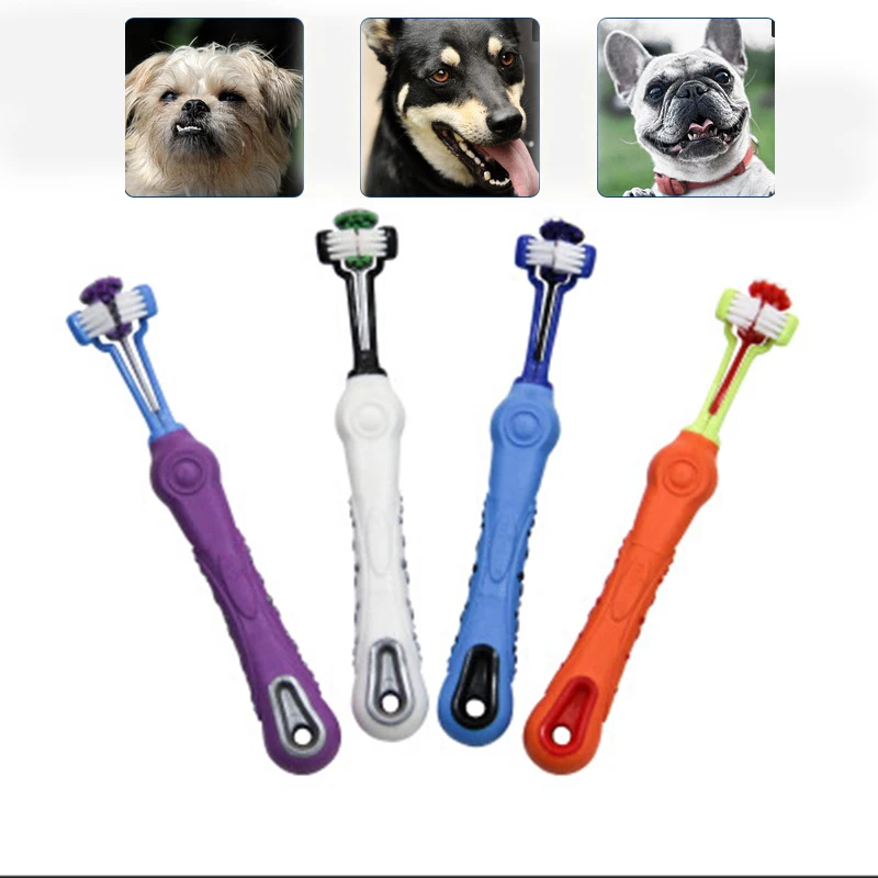 Medio, Verde Cuidados orales 4-12M 1PC Alimentador de comida para beb/és//Alimentador de frutas Chupete estimulante Mordedor de juguete Molar de apetito para beb/és