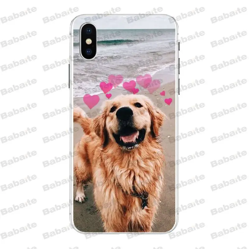 Супермилый чехол для телефона Babaite с золотистым ретривером iPhone X Xs Xr XsMax 6 6s Plus 7 7plus 8