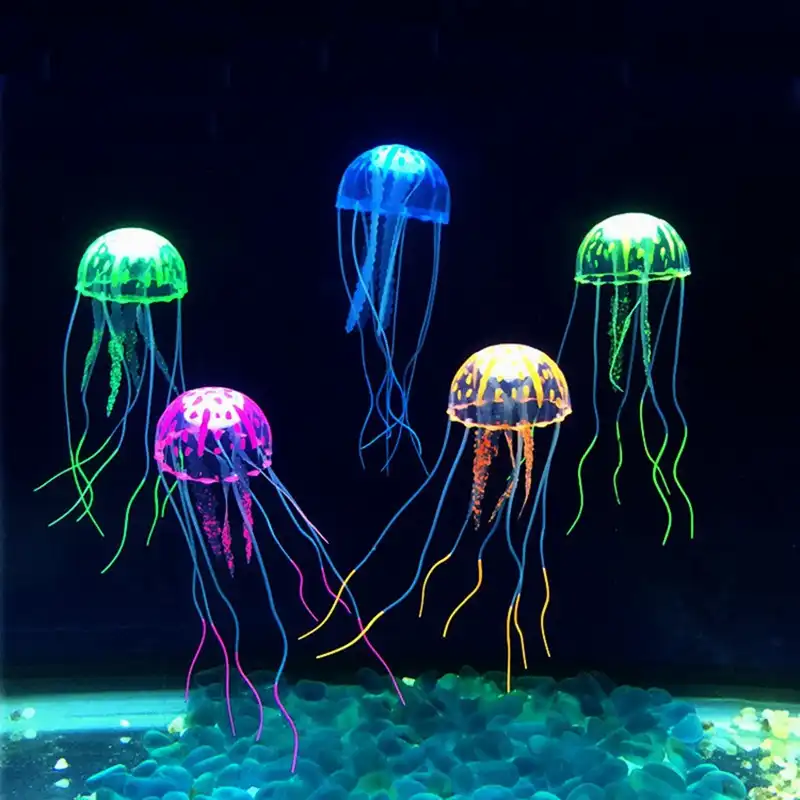 jellyfish aquarium
