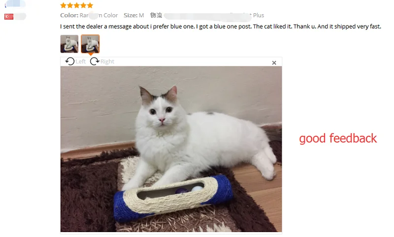 cat toy