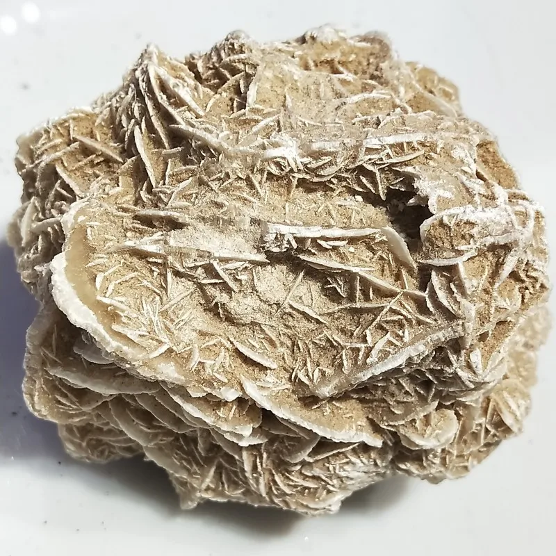 conew_img20190324152421