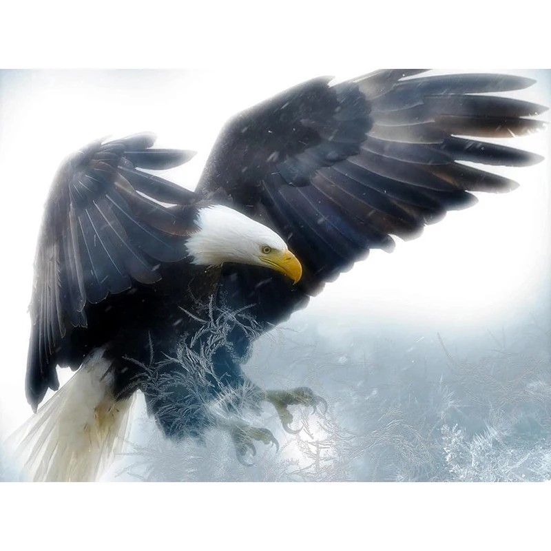 HUACAN-Diamond-Embroidery-Eagle-Painting-With-Diamonds-Picture-Of-Rhinestones-5D-DIY-Diamond-Painting-Animals-Home