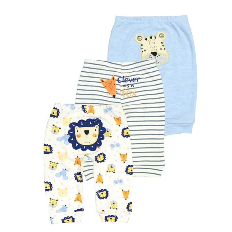 lion and tiger 006