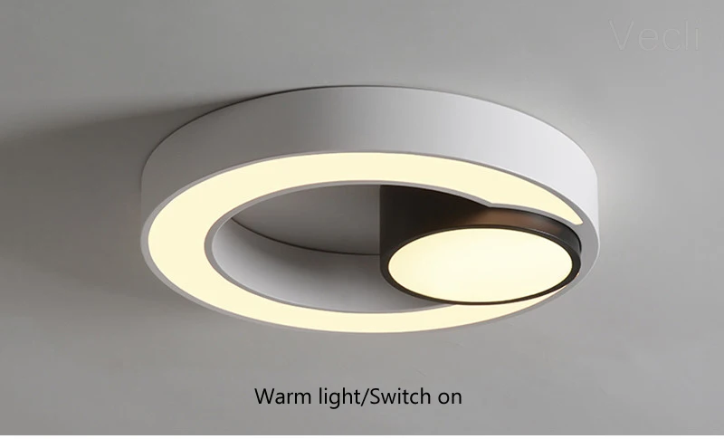 Ring ceiling lighting (24)