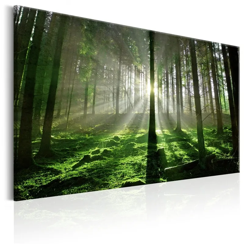 

DIY Framed Canvas Painting Photo Printed on Canvas Emerald Forest Picture Photography Print Living Room Art Decor