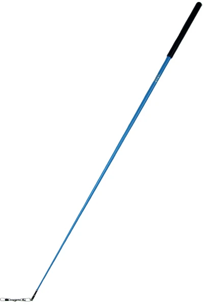 

sticks with blue color for children