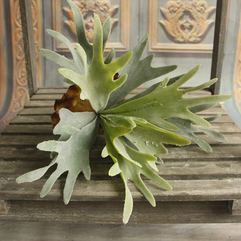 

Large Christmas Artificial Green Plant Fake Flocking Antlers Succulent Plants Background Micro-landscape Decoration