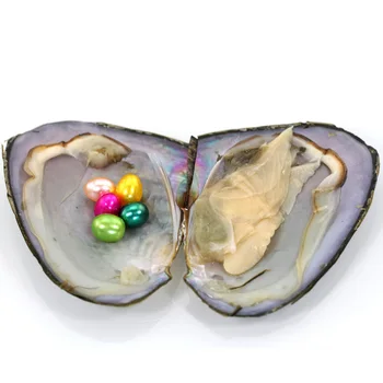 

Bulk 10pcs/lot 7-8MM Rice triplets Pearls Oyster 20 Colors Vacuum Packed Live Party Gift DIY Jewelry Free Shipping FO034