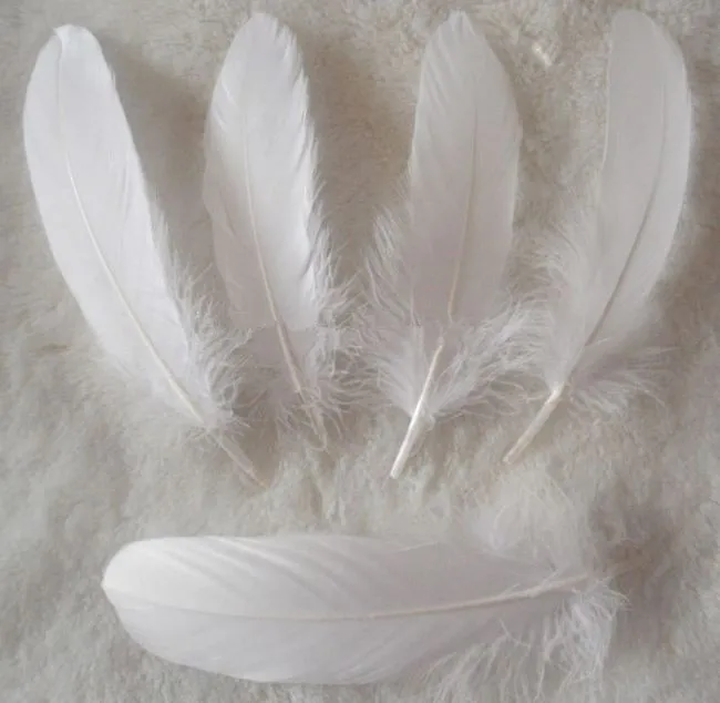 white 100pcs/lot 15 20cm Goose feathers Duck feathers Geese feathers