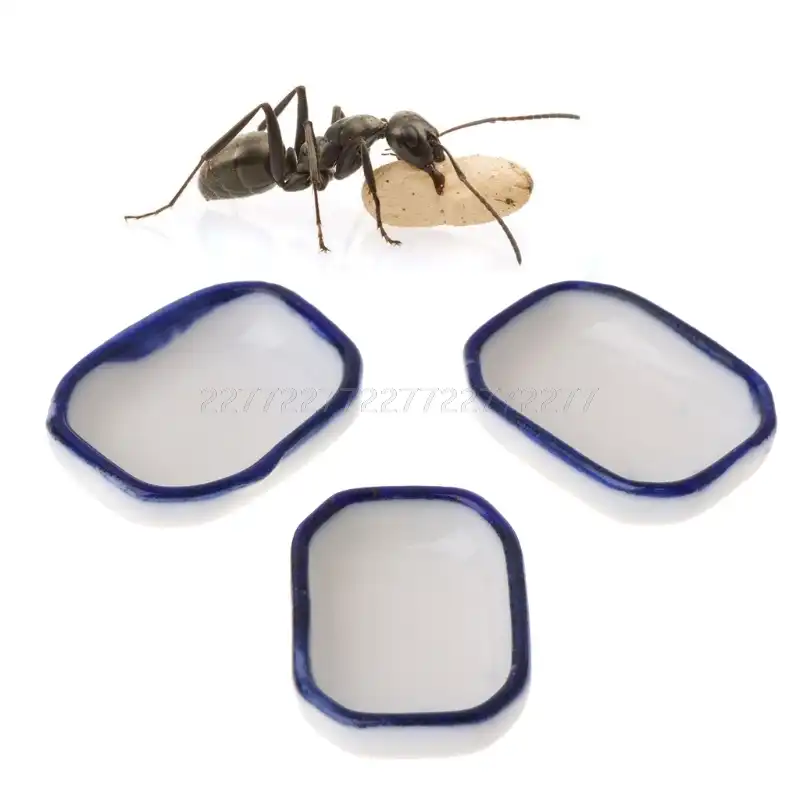3pcs Ant Farm Feeder Insect Nest House Villa Water Food Bowl