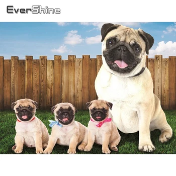 

Evershine 5D Diamond Painting Full Drill Square Dogs Cross Stitch Diamond Embroidery Sale Animals Rhinestones Pictures Beadwork
