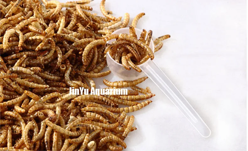 Черепаха Рыба еда mealworm сухой cichild цветочный Рог arowana еда аквариумная кормушка для рыб поплавок на воде