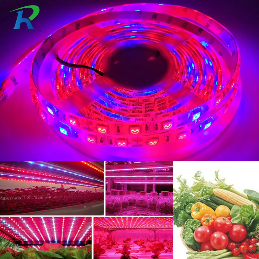 LED Plant Grow Lights 5050 LED Strip DC12V Red Blue 31, 41, 51,for
