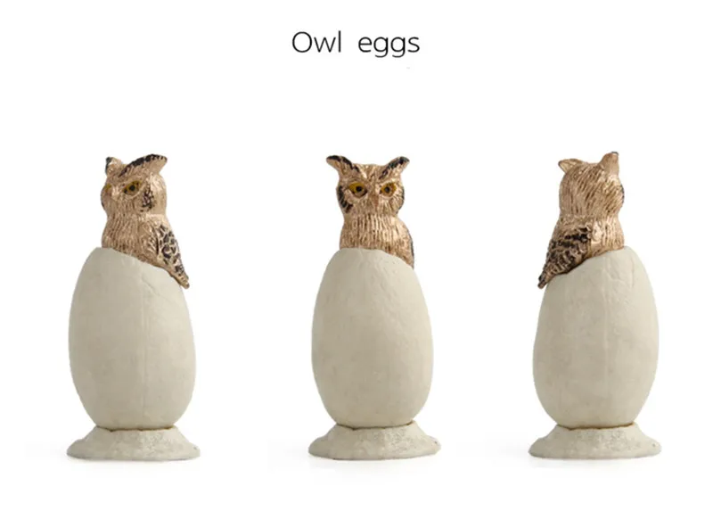 10000518651_202388549_