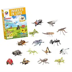 16 насекомых в жизни 3D покрытием Бумага Цикада Стрекоза бабочка Ant саранчи божьи коровки Firefly жуки Крикет головоломки собраны игрушки