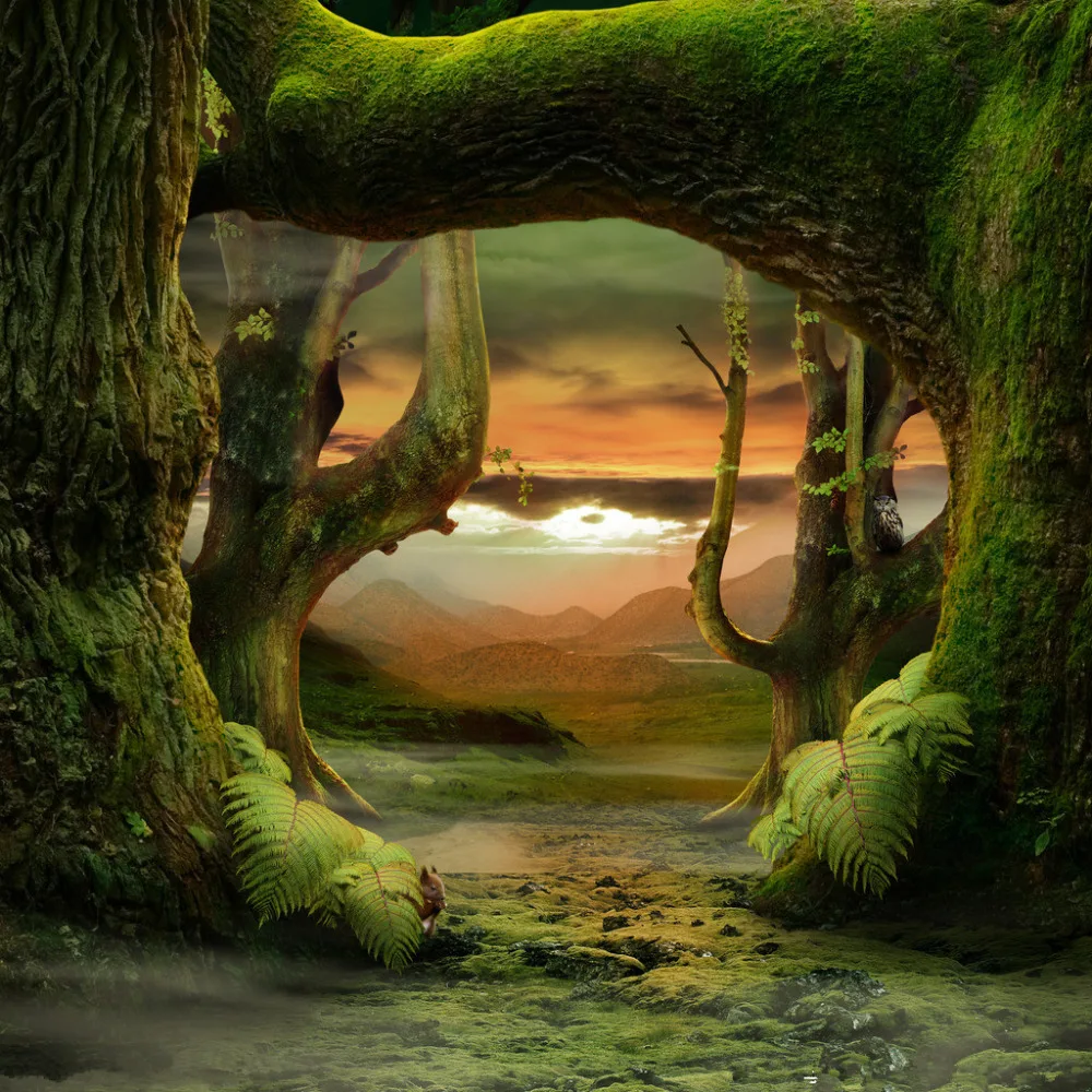 

Vinyl Custom Photography Backdrops Prop Digital Printed Fairy tale theme Photo Studio Background NTHU-456