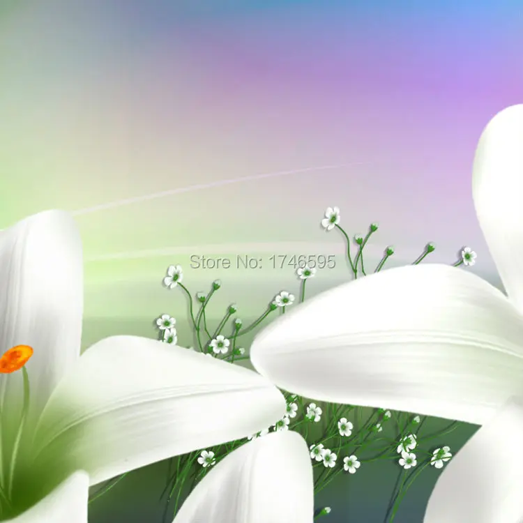 wild white daffodil-2