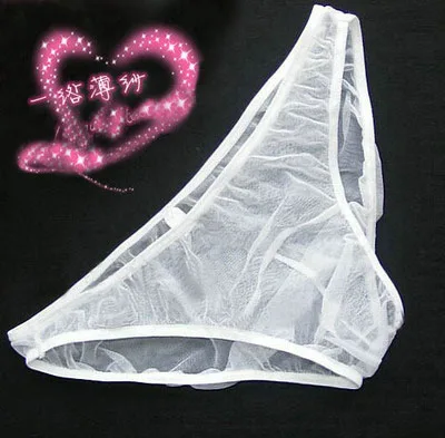 

2017 Sexy Transparent Panties Mens Gay Briefs Male Mesh Low-waist Underwears Breathable See Through Thin Underpants
