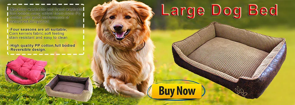 Large dog bed 2