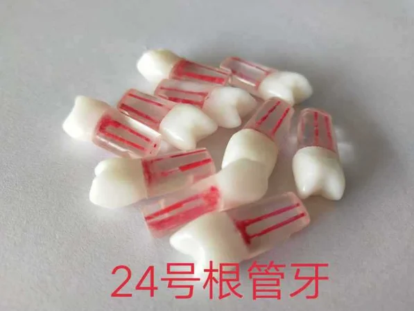 24