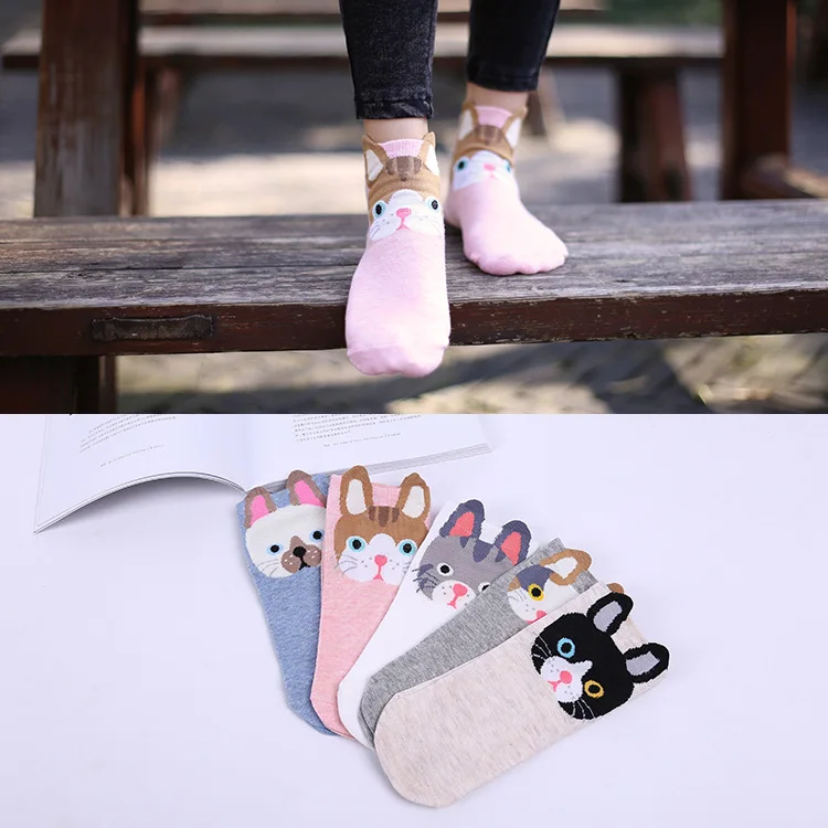 5 пар/лот летние носки с символикой аниме Дышащие хлопчатобумажные забавные носки с принтом поглощения пота Кролик Вышитые милые носки