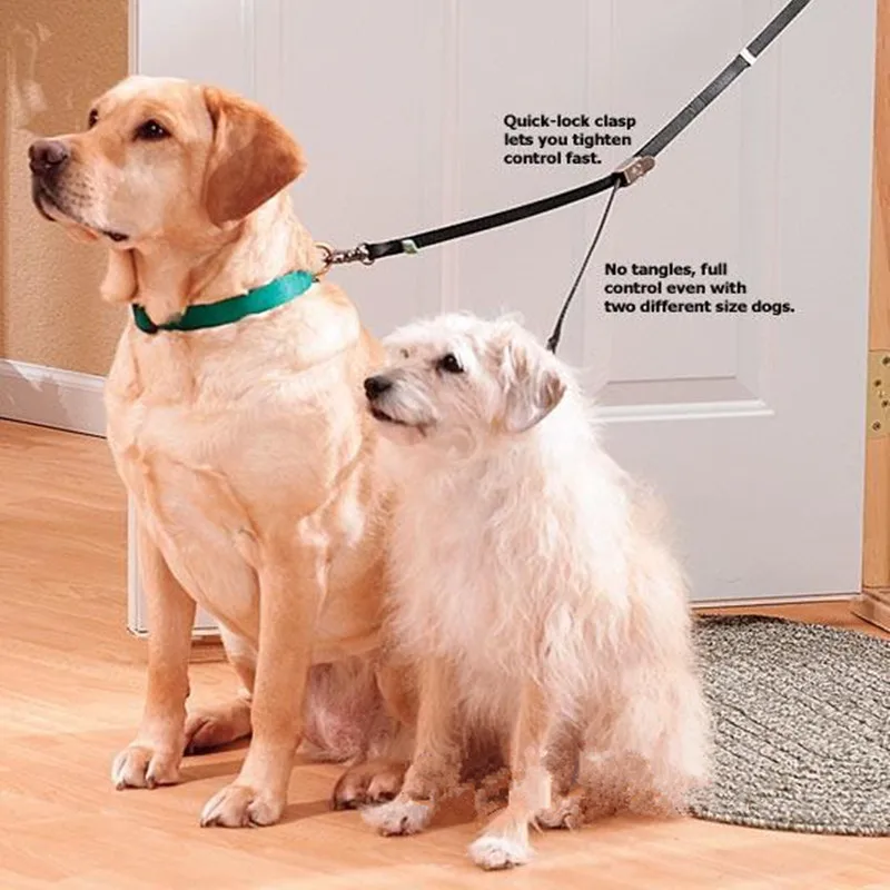 twin dog leash