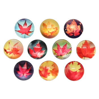 

10pcs/lot New Fashion 25mm Round Mixed Canada Maple Leaf Autumn DIY Glass Cabochon Mixed Patterns Fit Cameo Base Setting