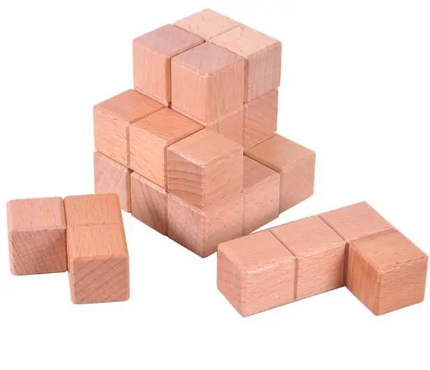Premium Wooden Brain Teaser Puzzle Game