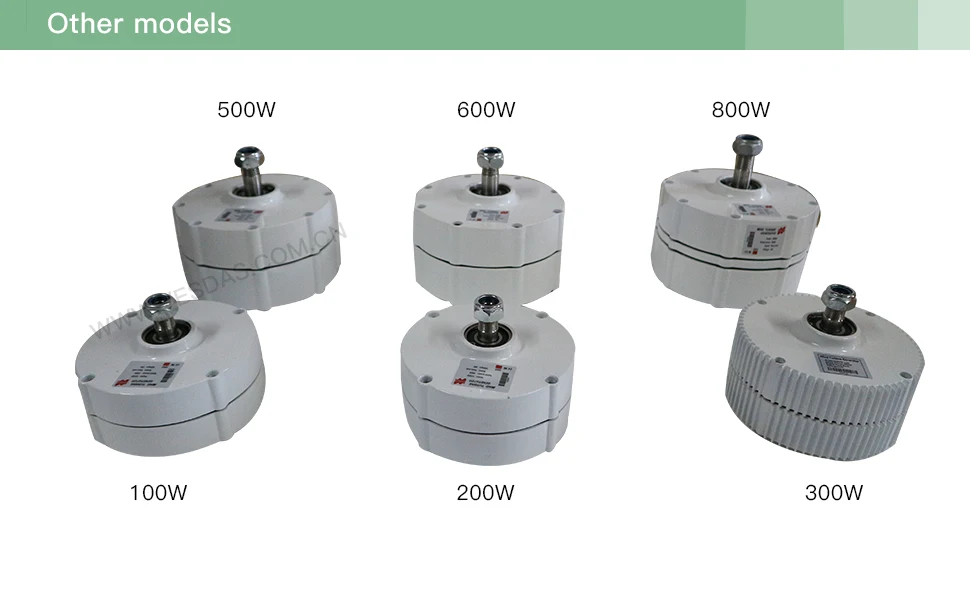 Horizontal da C.a. de Faça Mesmo da Turbina m da C.a. do Gerador do Ímã de 100 v para o Alternador Permanente 12 v ou 24 Vertical Você Eólica 600r - w 16 Alternador permanente 600rm da c.a. do gerador