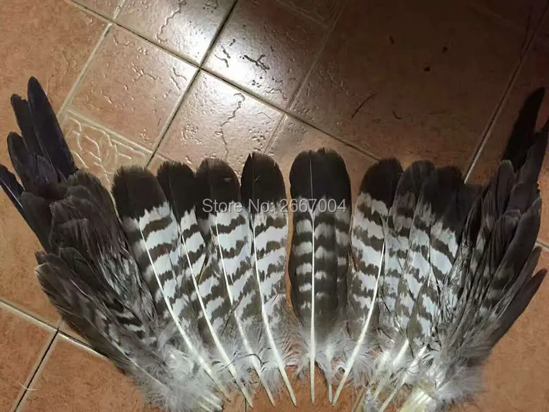 Buy New listing! 52pcs Natural Precious Hawk Feathers