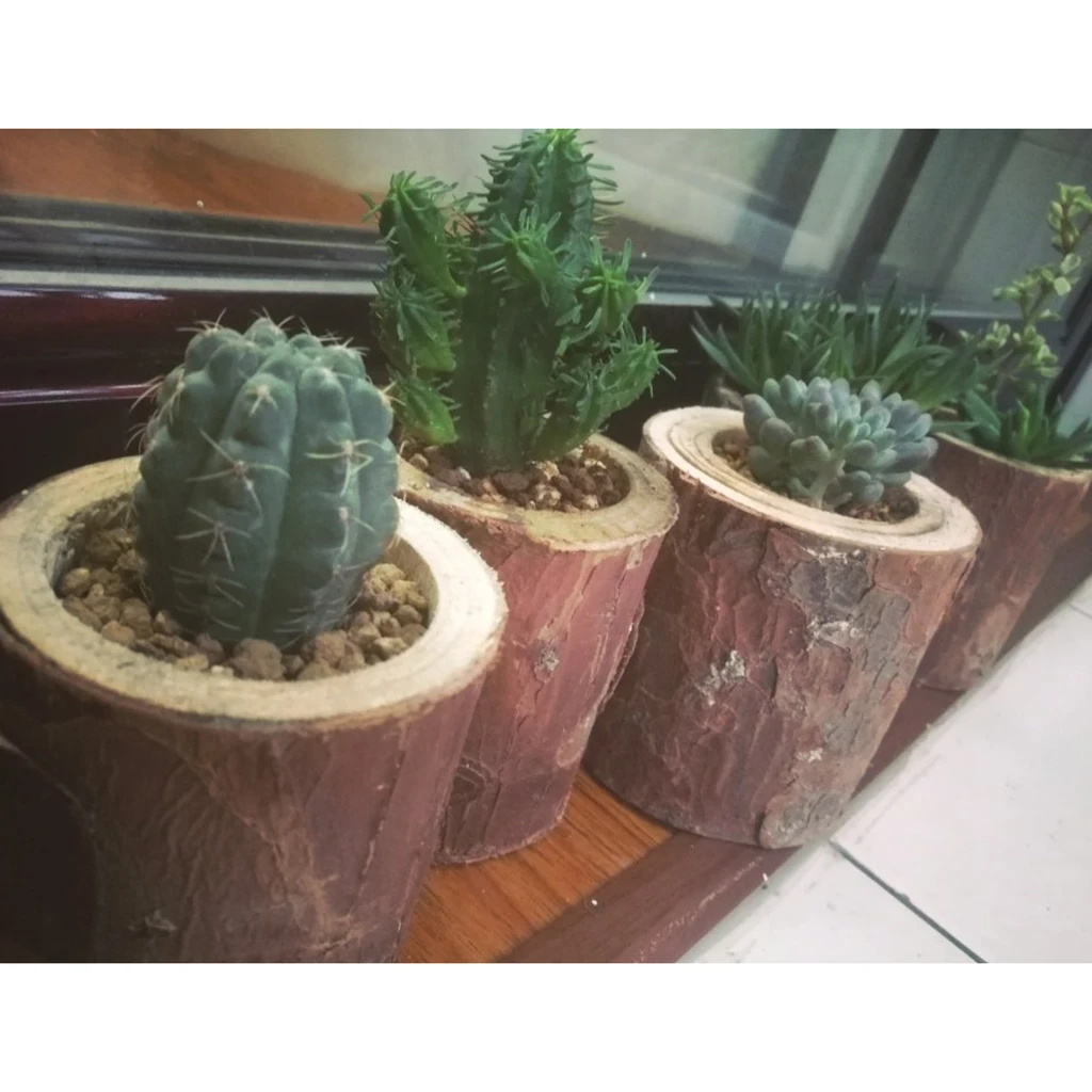 Natural Tree Stump Wooden Candle Holder Tea Light for Romantic Candlelight Dinner Bonsai Plants Flowerpot Container Decor