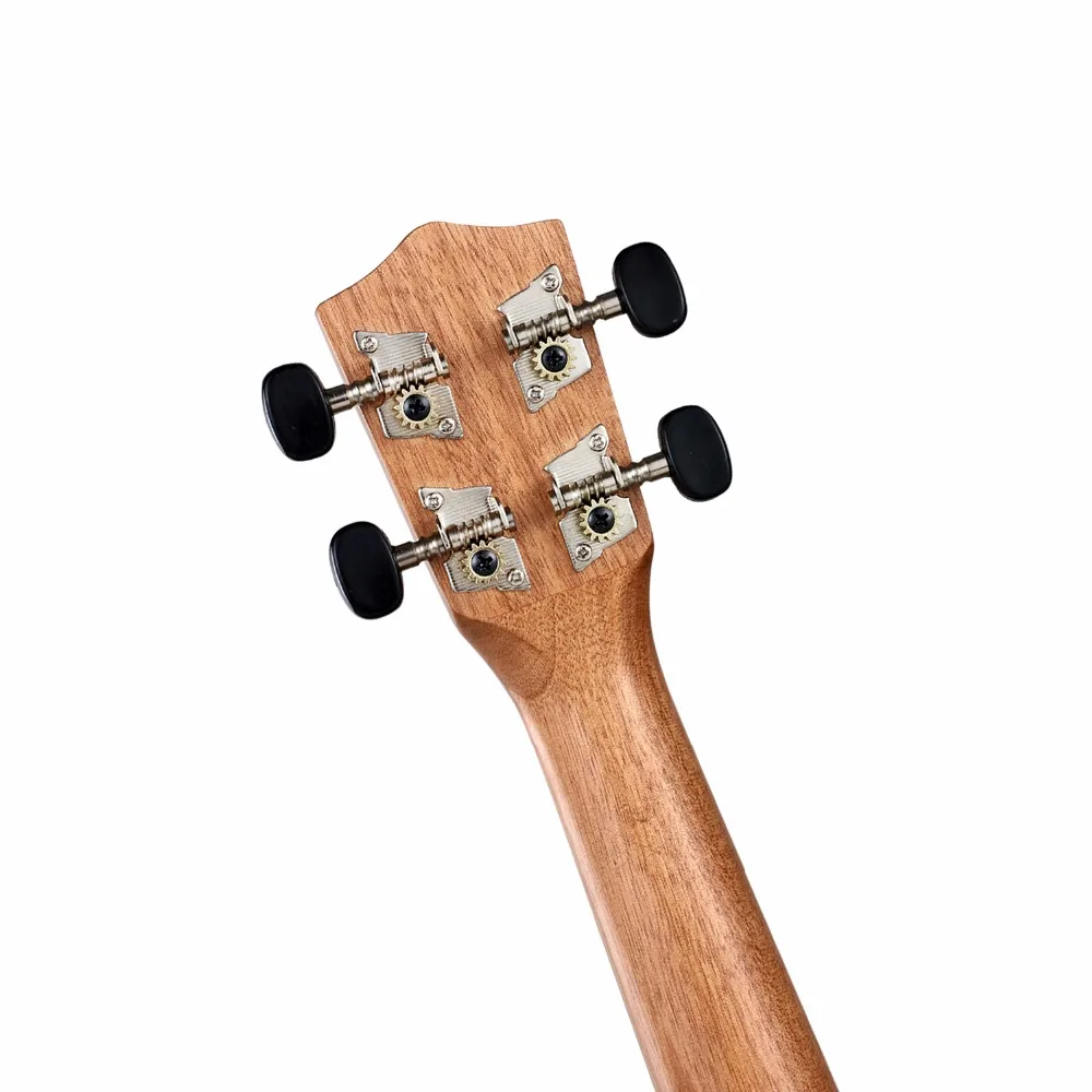sw268