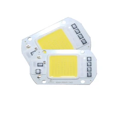 Matrice LED intelligente pour projecteur, éclairage à large faisceau, COB 110, projecteur d'extérieur, 20W, 30W, 50W, 220/Diode LED V