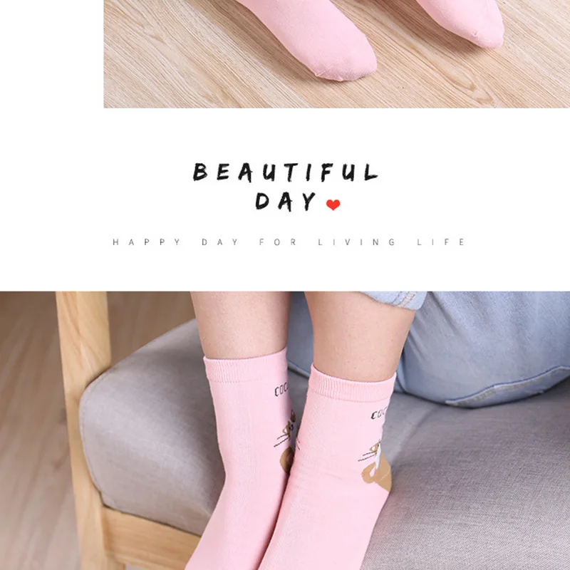 Socks (11)
