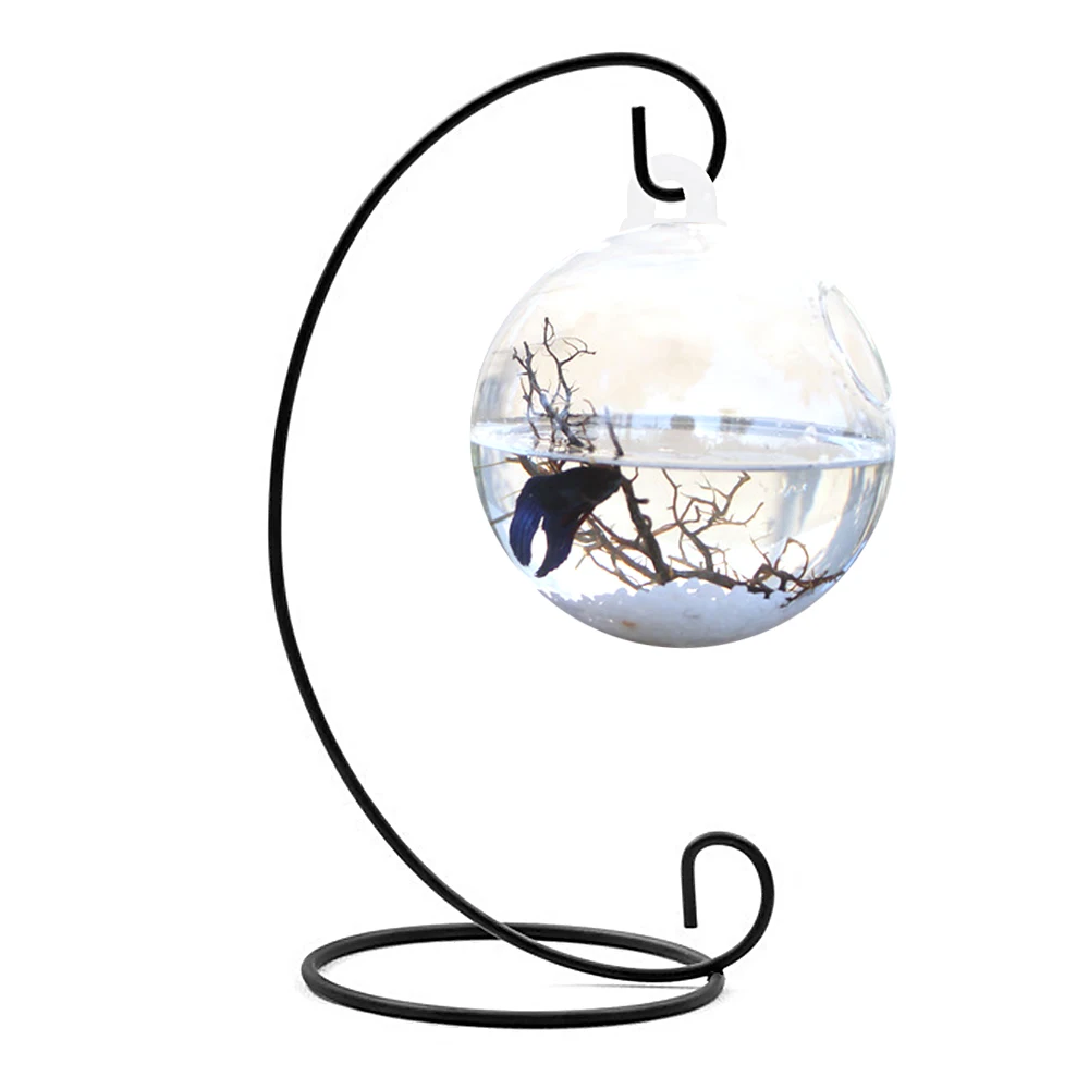 Painting A Round Glass Fish Bowl Painting A Round Glass Fish Bowl