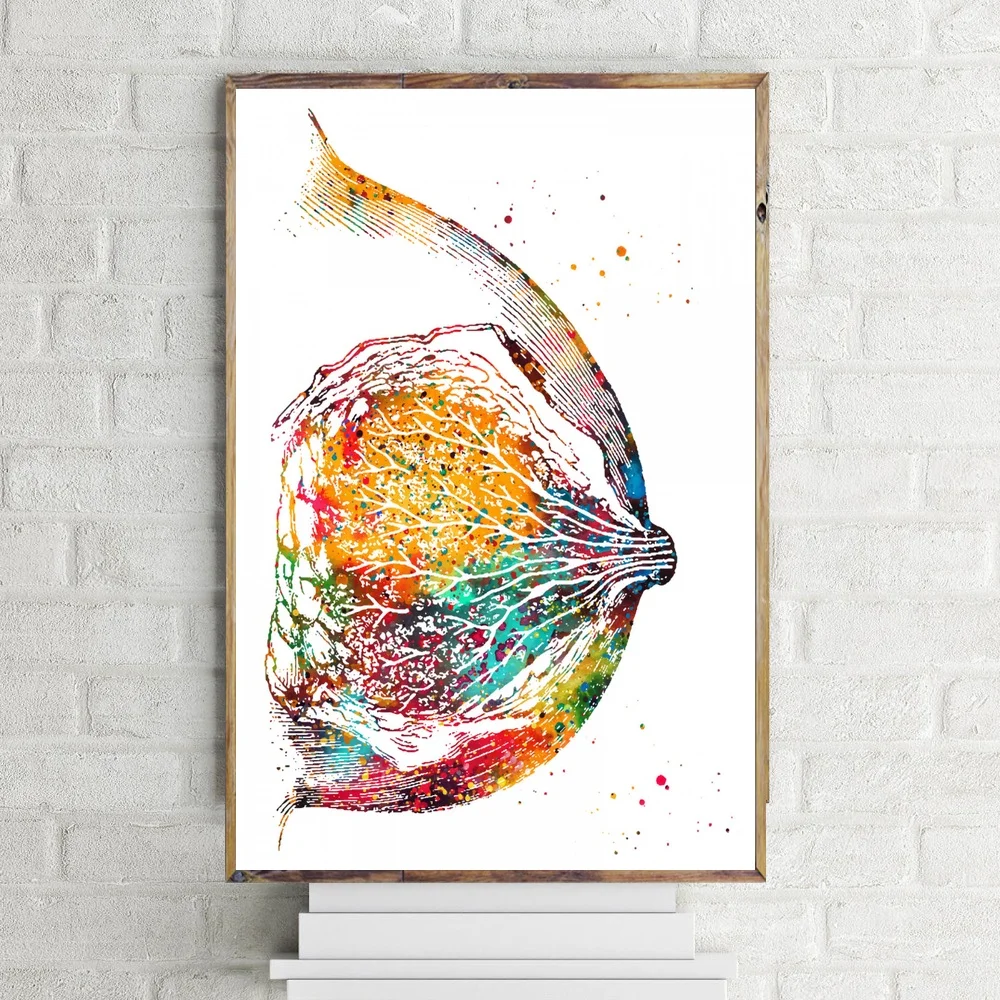 

Watercolor art Breast Anatomy and Female Reproductive System poster Canvas Art Print Wall Picture for Living Room No Frame