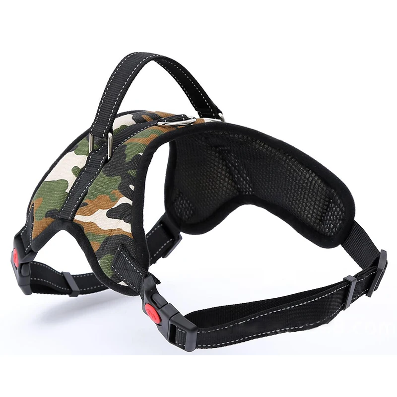 dog harness (5)