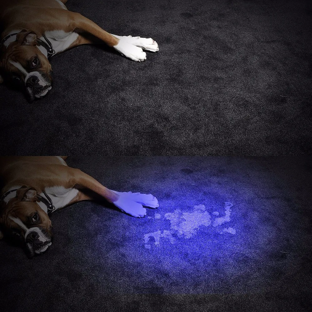21led uv blacklight flashlight (8)