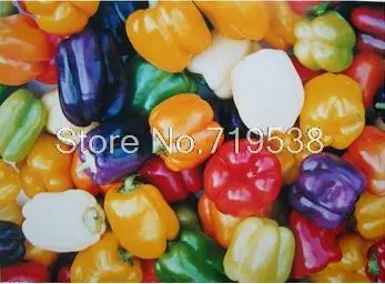 Семена Овощей Без Гмо Купить