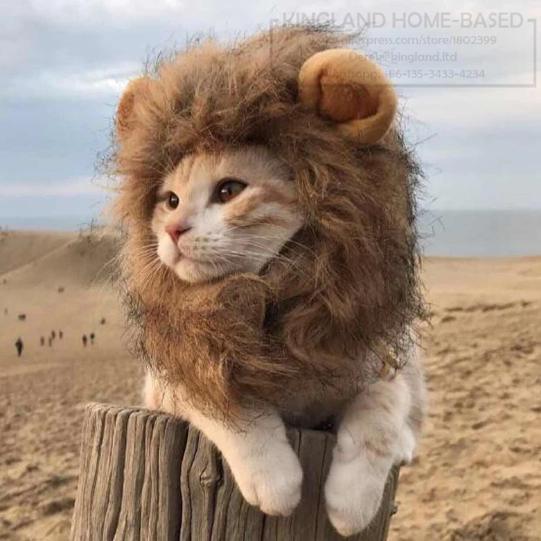 Pet-font-b-Cat-b-font-Dog-Emulation-font-b-Lion-b-font-Hair-Mane-Ears.jpg