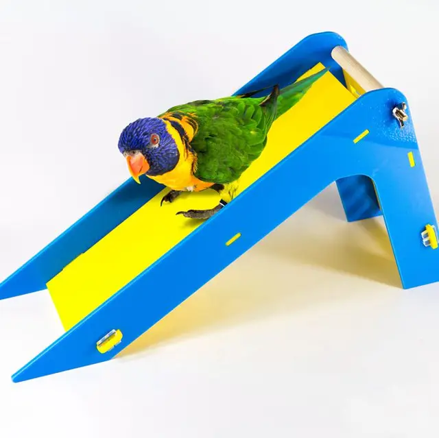 1PCS Parrot's Slide Training Bird Toys Parrot Pet Bird Educational Toys