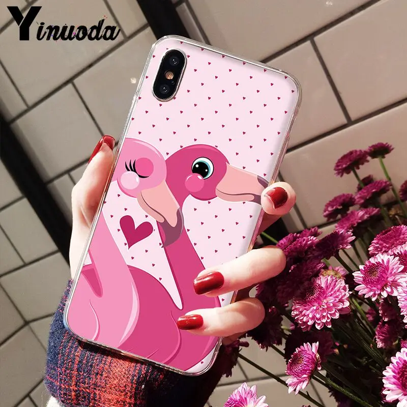 Flamingo Cute Animals Birds
