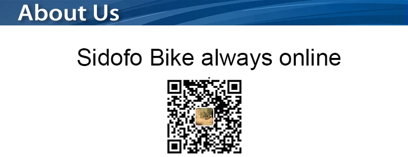 e bike