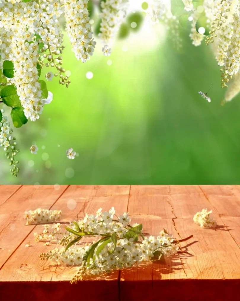 

170CM*240CM New Custom Photographic Background Christmas Vinyl Photography Backdrops Photo Studio Props For Baby F1062